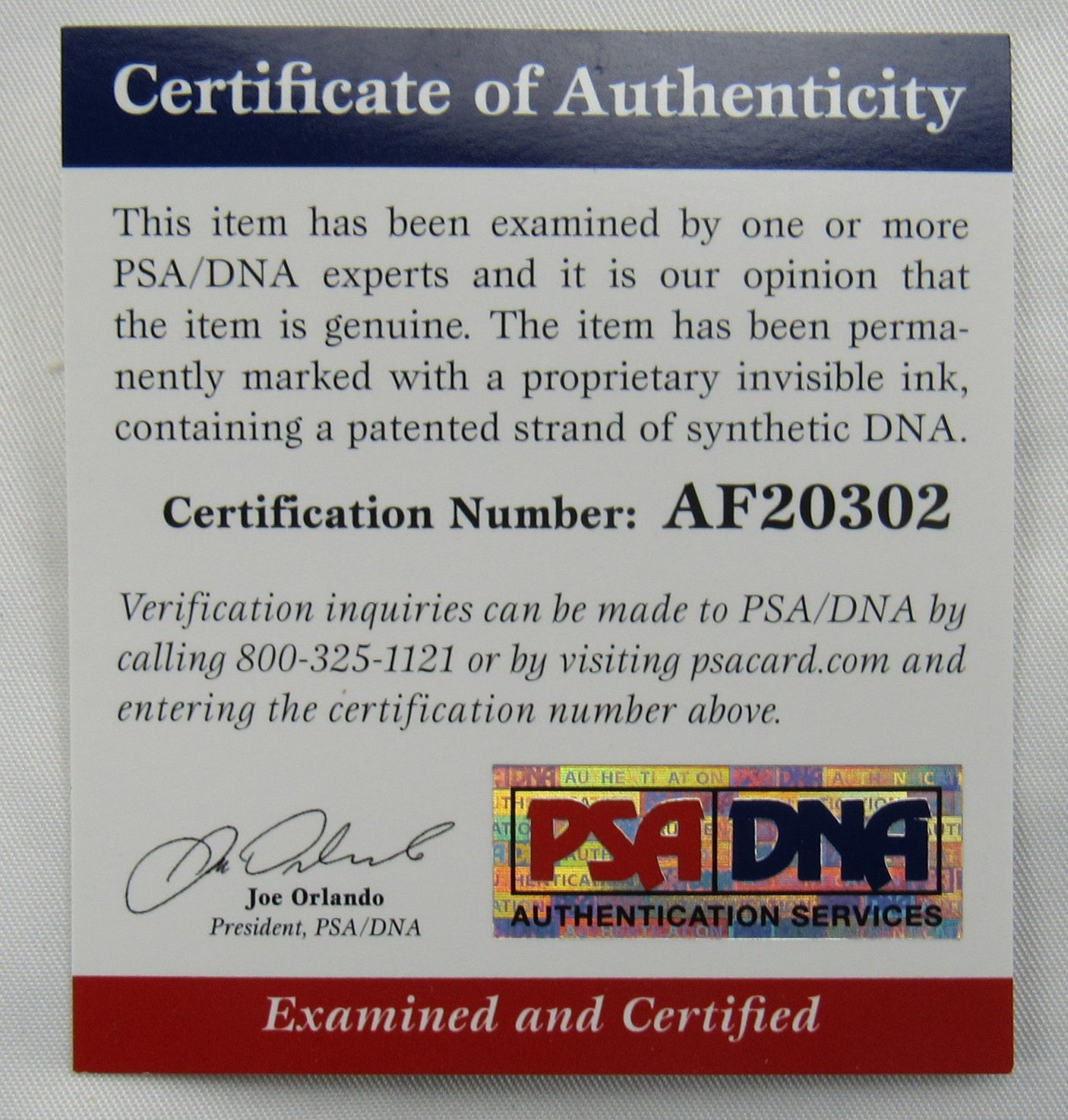 Johnny Mize Signed Auto Rawlings Baseball PSA/DNA AF20302