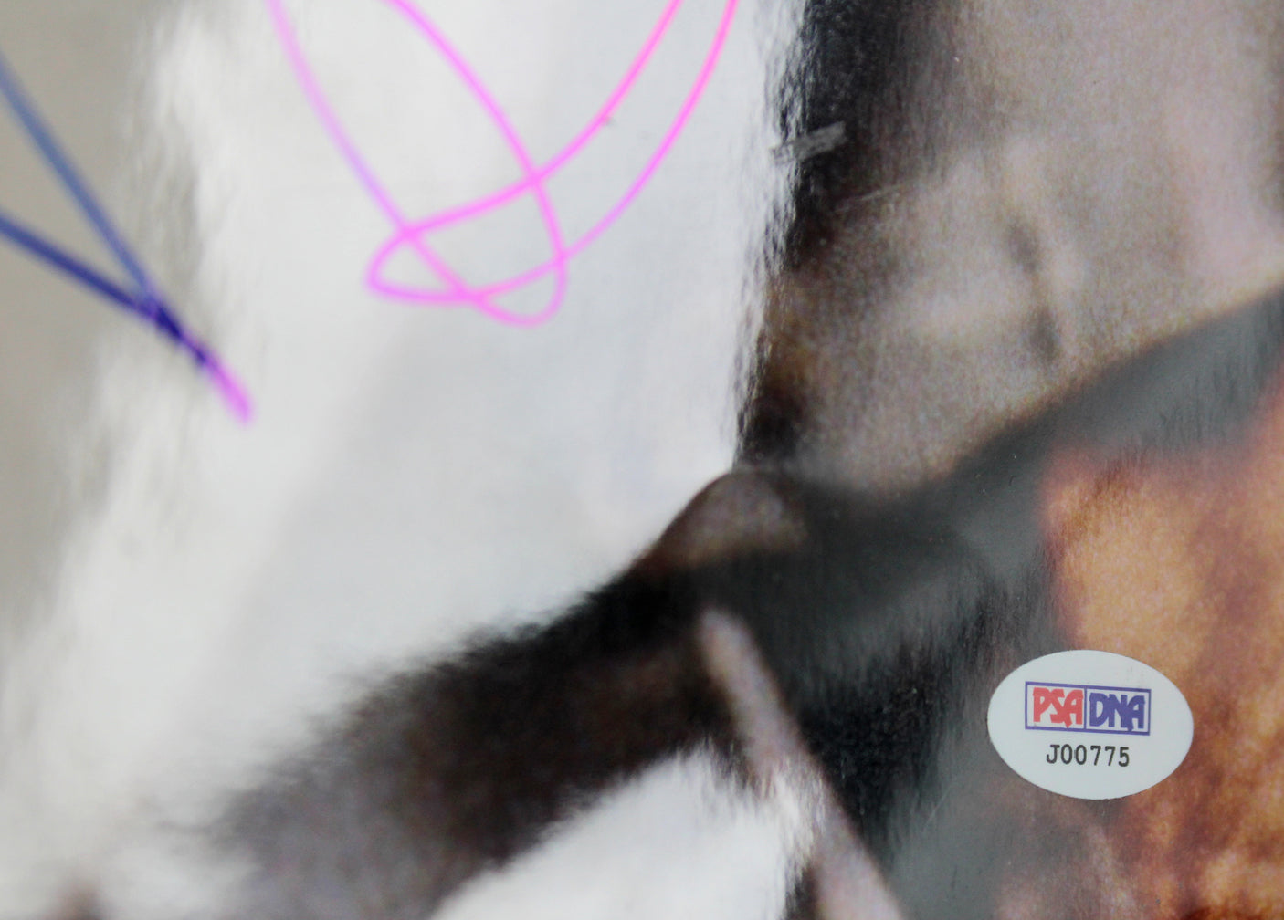 Antonio Banderas Desperado Authentic Signed 16x20 Photo Autographed PSA #J00775