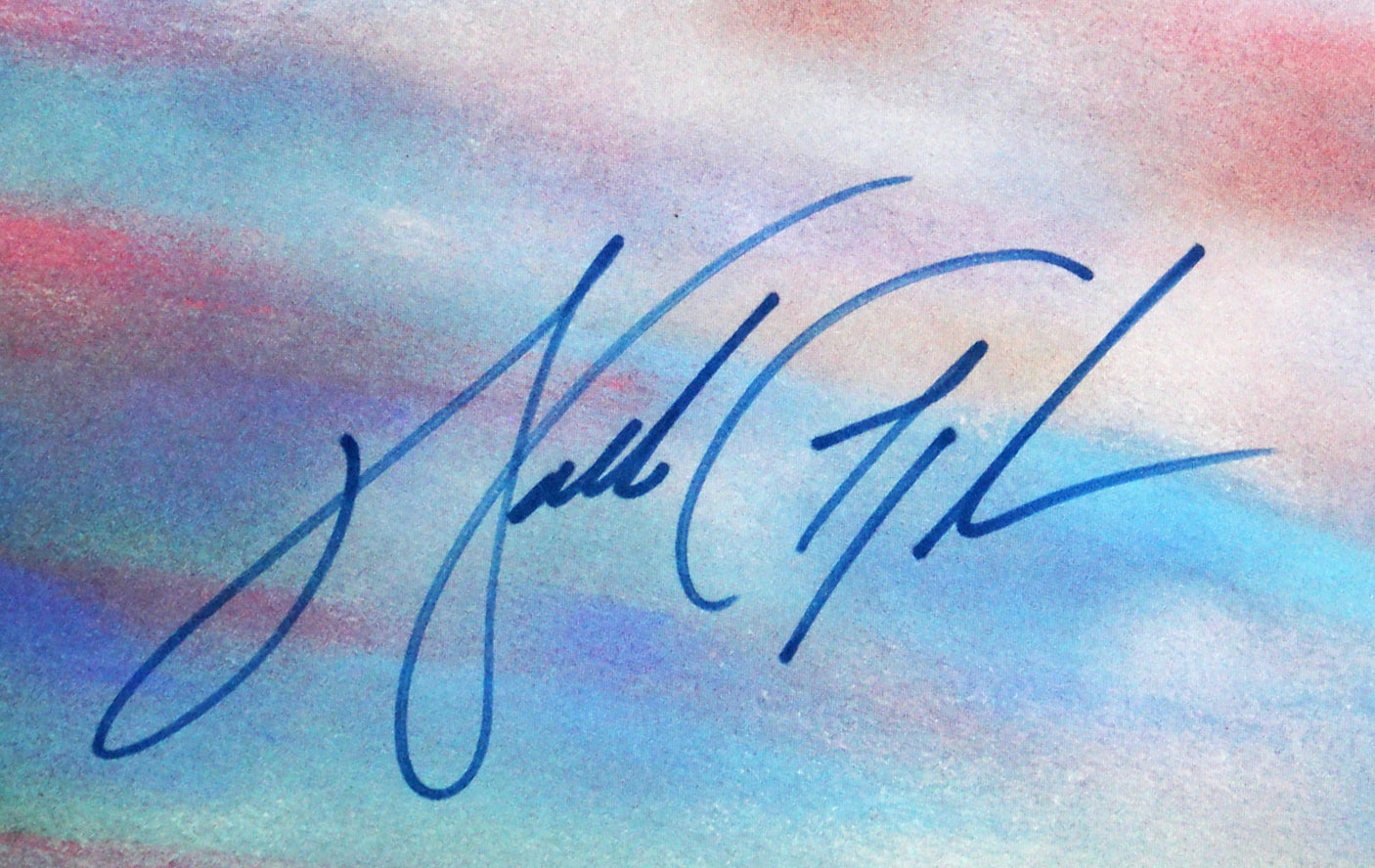 Bears Walter Payton Signed & Framed 20x30 Lithograph LE #1438/1993 BAS #AC33324