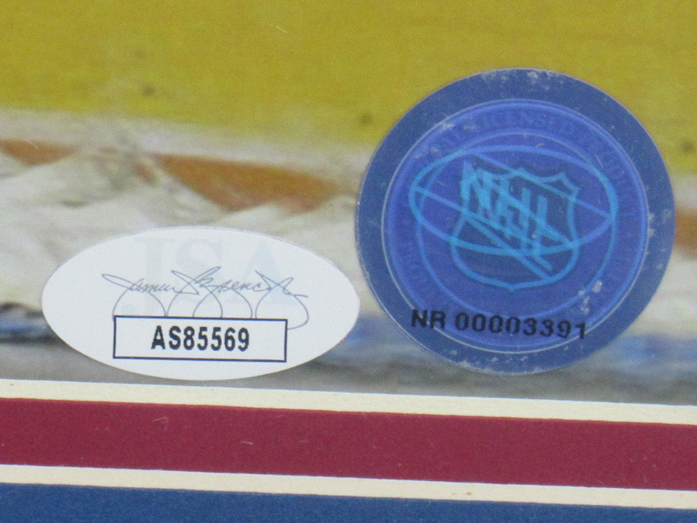 Mike Richter Signed Framed 16x20 Photo PSA/DNA K88610