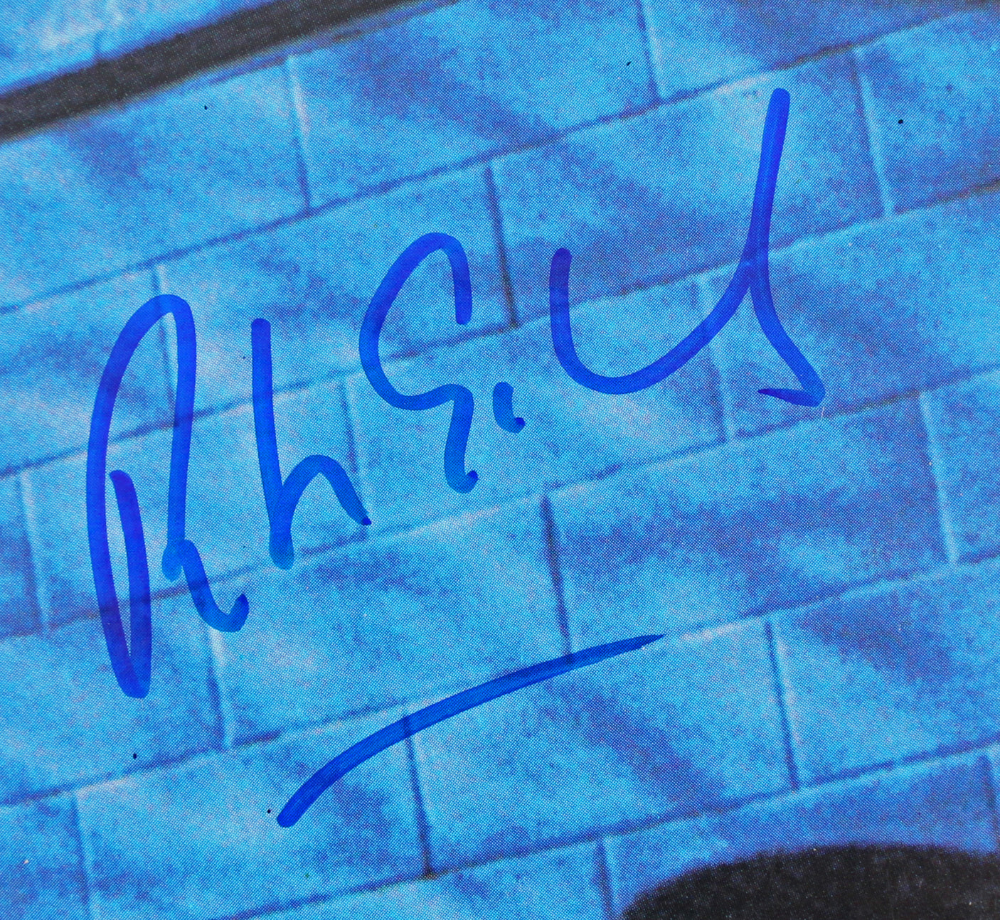 Peter Gabriel Authentic Signed Birdy Album Cover Autographed BAS #BF88169