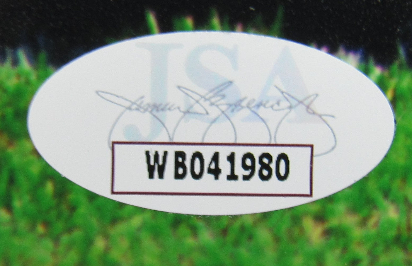 Lawrence Taylor Signed Auto Autograph 8x10 Photo JSA WB041980