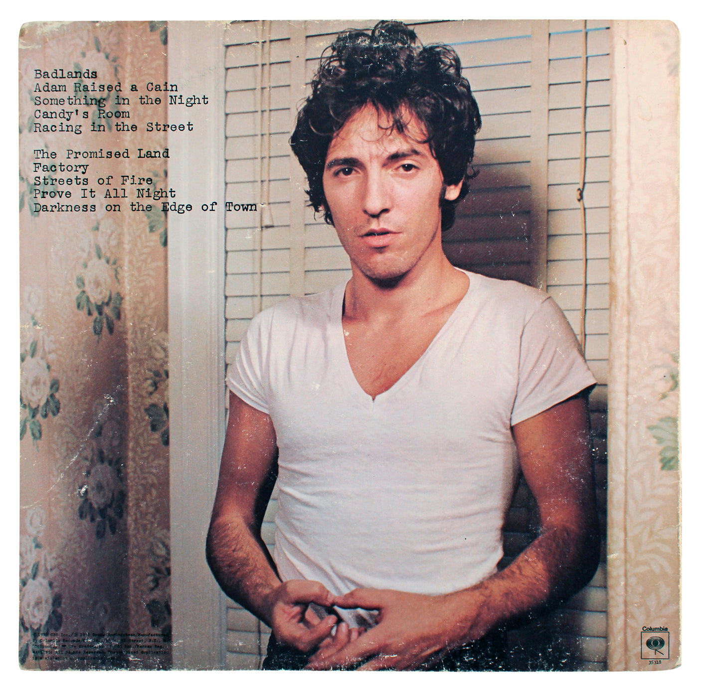 Bruce Springsteen & Steven Van Zandt Signed Album Cover W/ Vinyl JSA #Z88807