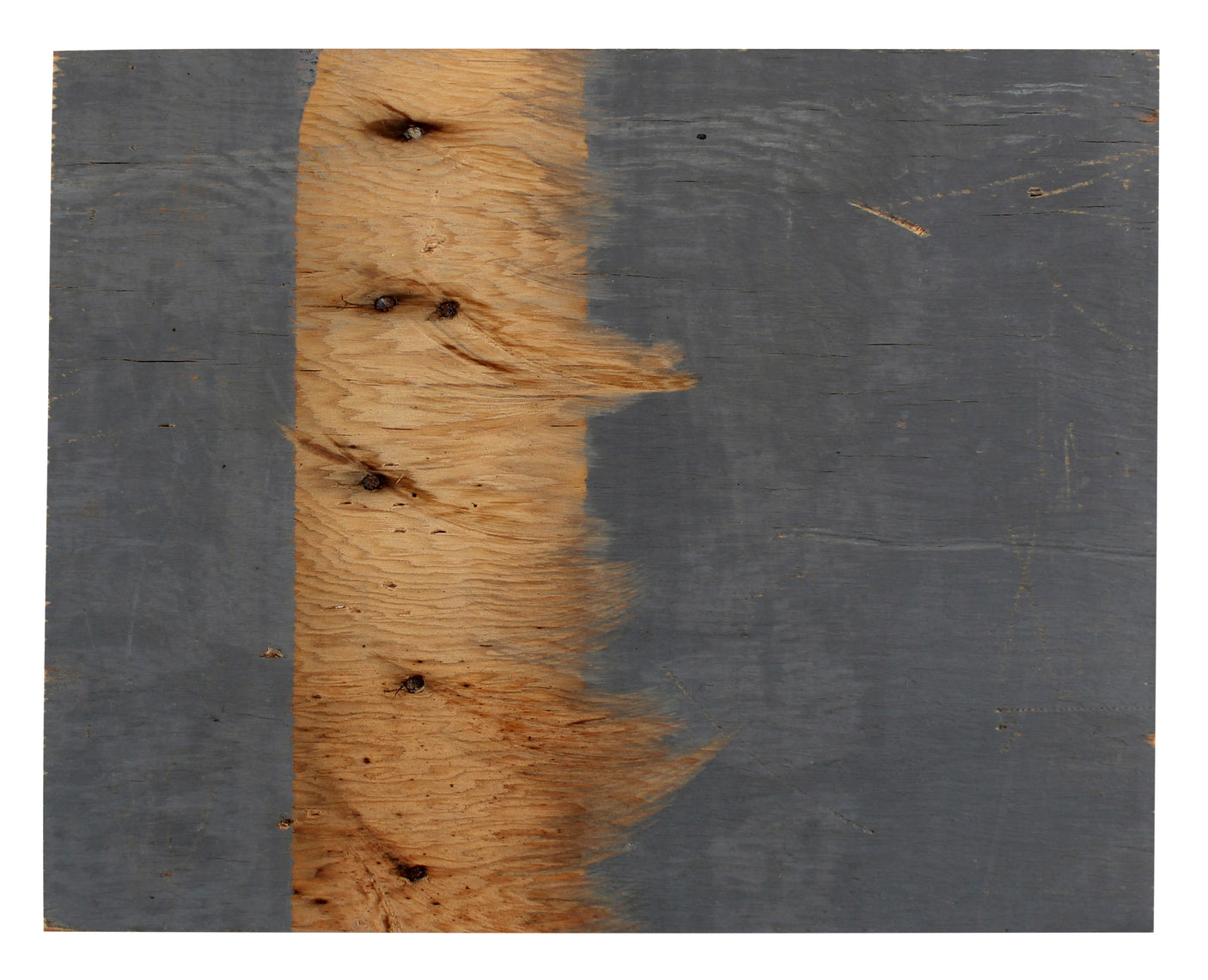 Lakers Magic Johnson Authentic Signed 8x10 Forum Floorboard PSA/DNA Itp #6A04955