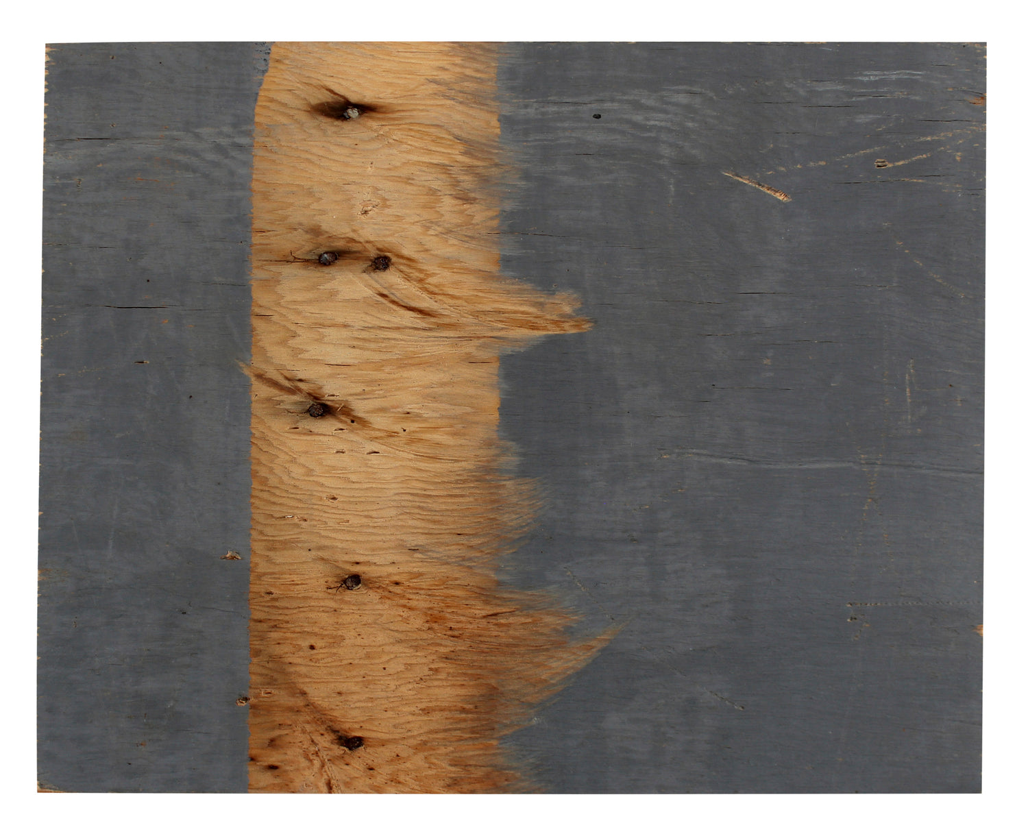 Lakers Magic Johnson Authentic Signed 8x10 Forum Floorboard PSA/DNA Itp #6A04955