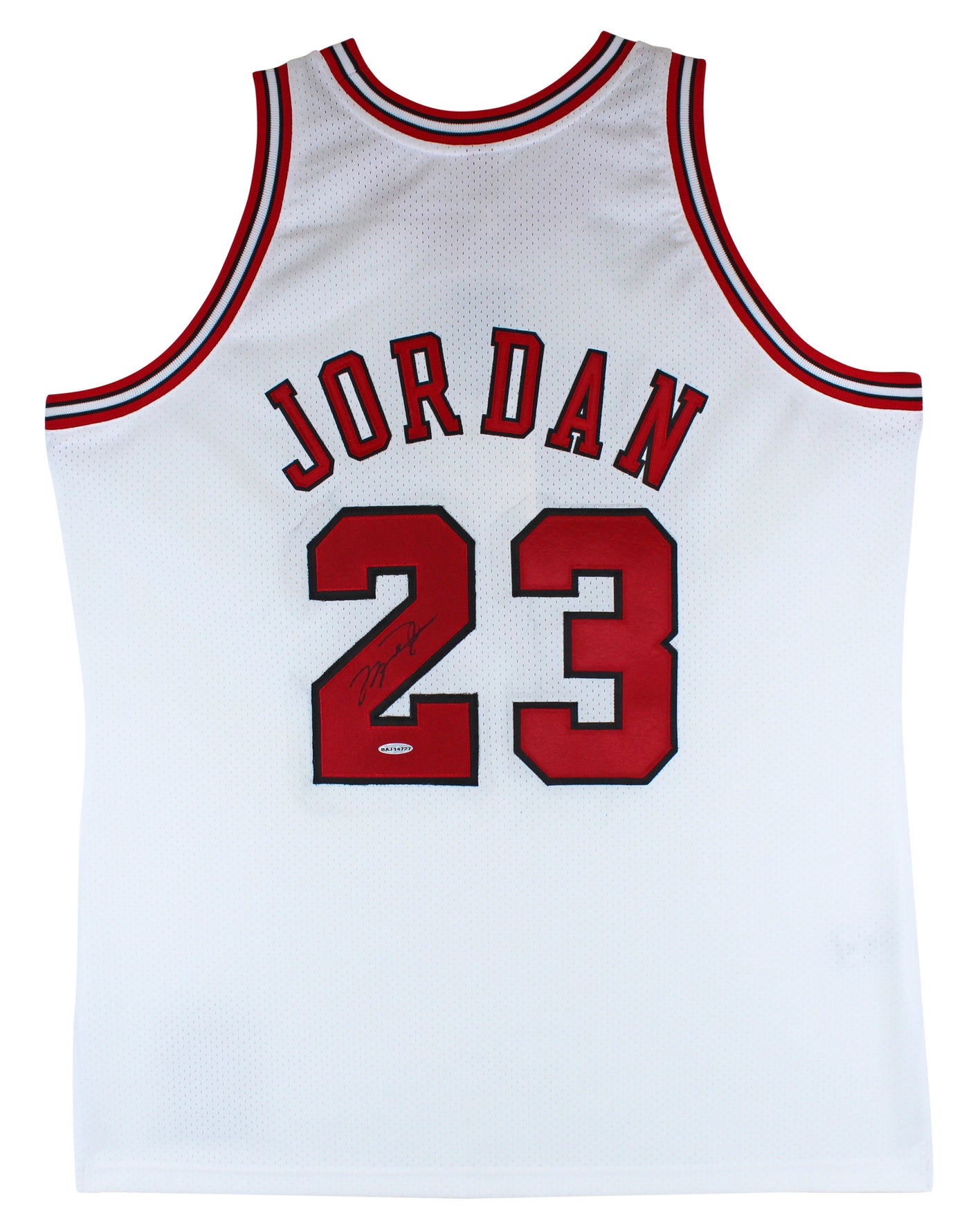 Bulls Michael Jordan Signed William Zavala Hand Painted M&N Framed Jersey UDA