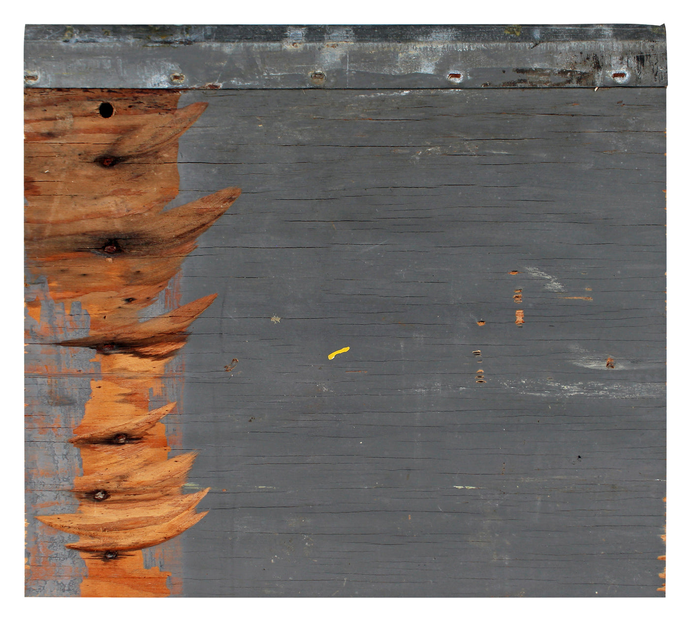 Lakers Magic Johnson Authentic Signed 8x10 Forum Floorboard PSA/DNA Itp #6A04952