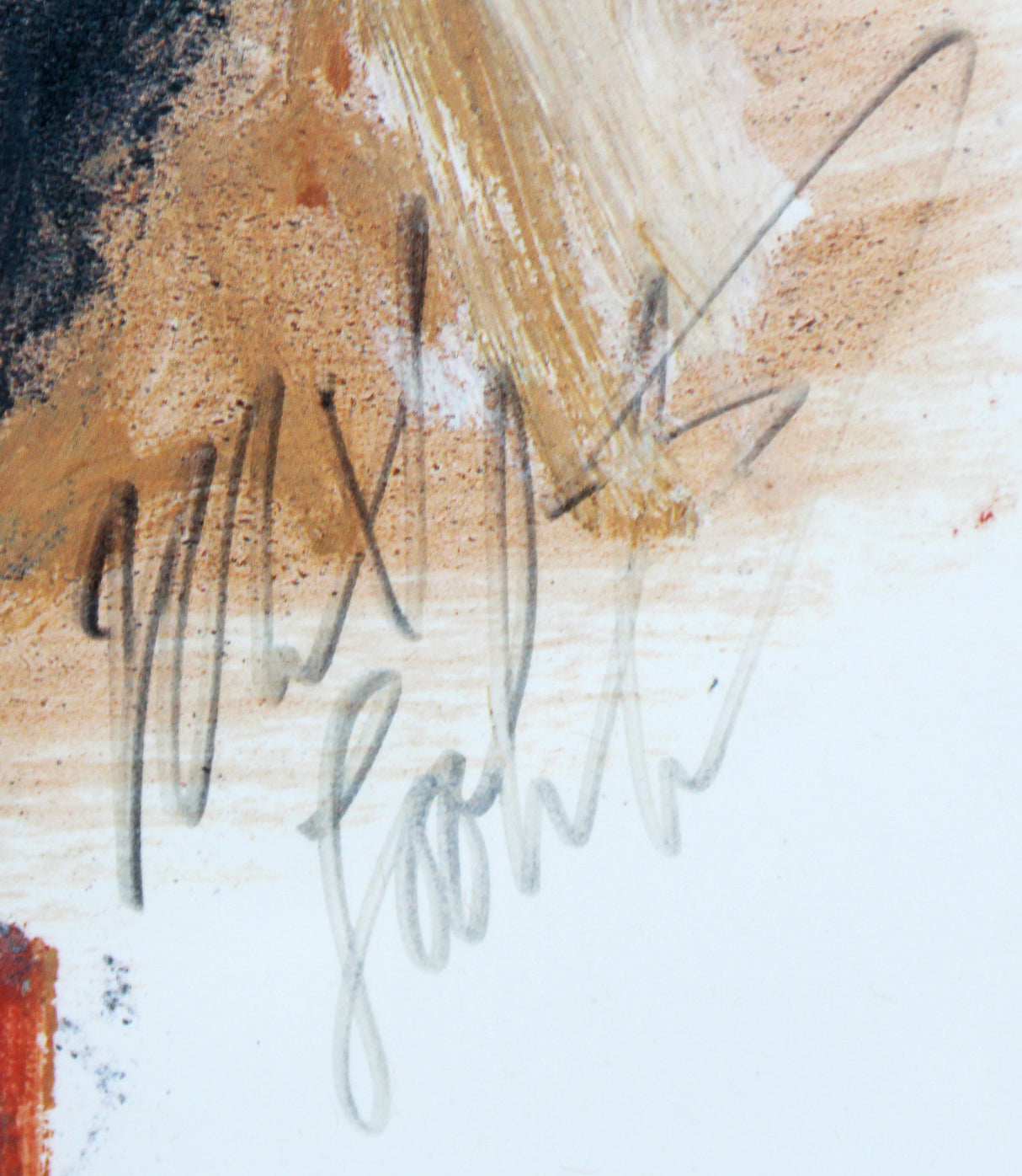 Brady Bunch McCormick, Williams +4 Signed & Framed 11x14 Litho LE #951/1000 PSA