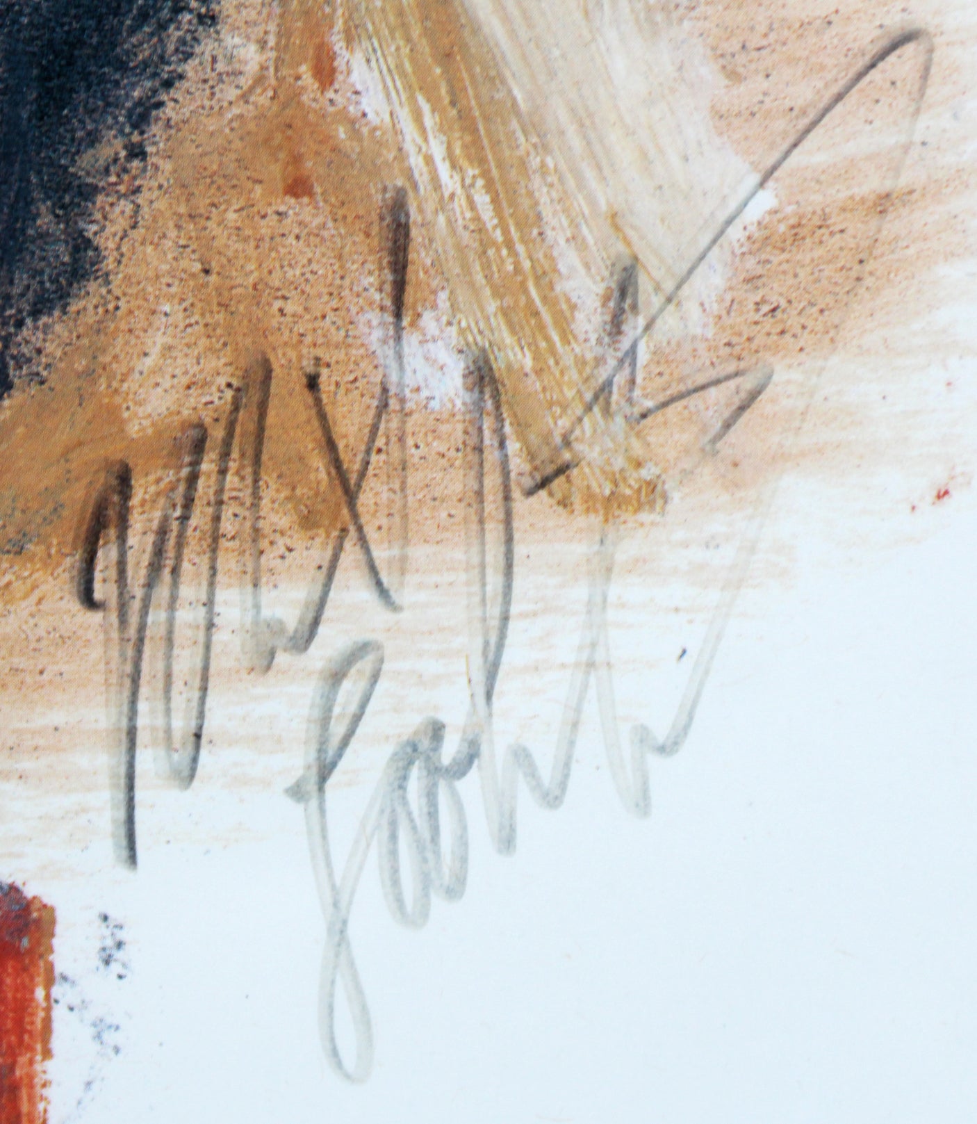 Brady Bunch McCormick, Williams +4 Signed & Framed 11x14 Litho LE #951/1000 PSA