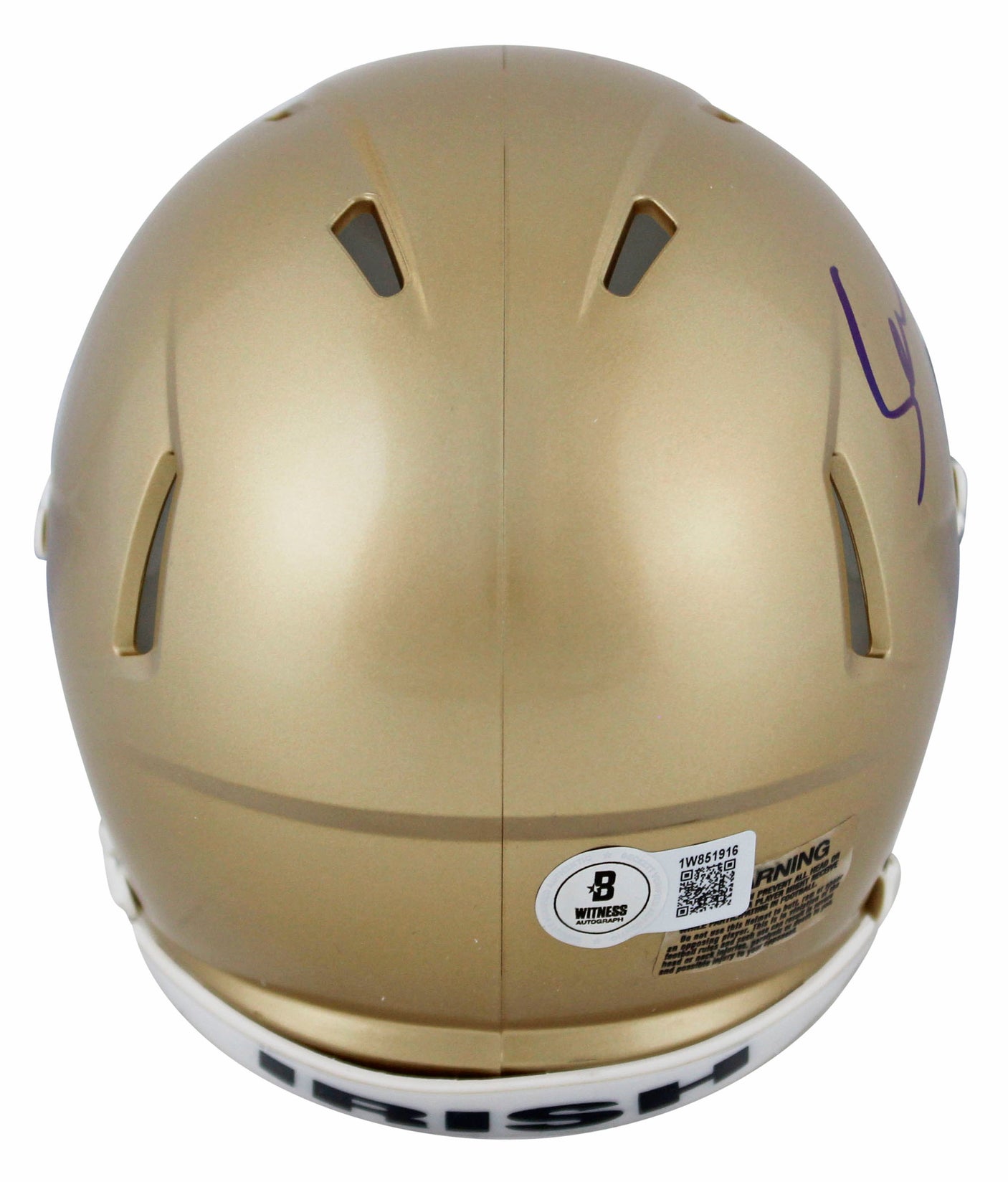 Notre Dame Sean Astin "Rudy" Authentic Signed Speed Mini Helmet w/ Case BAS Wit