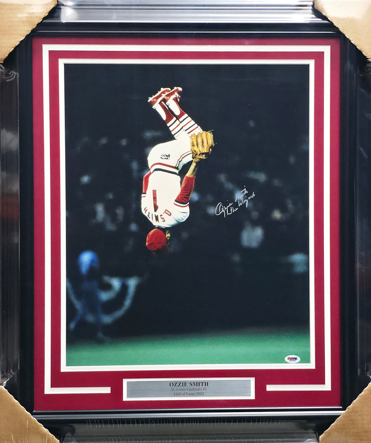 Ozzie Smith Autographed Framed 16x20 Photo St. Louis Cardinals "The Wizard" PSA/DNA #L62461