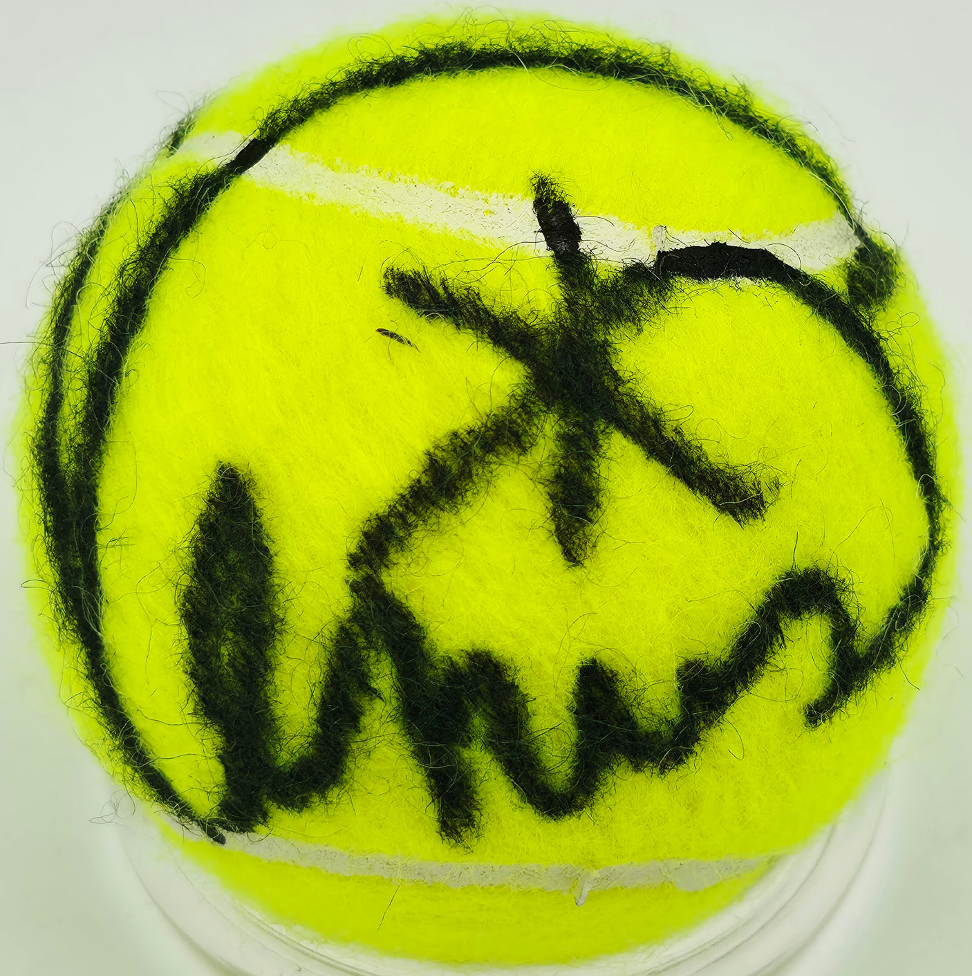 Venus Williams Autographed Wilson Tennis Ball PSA/DNA #L64866