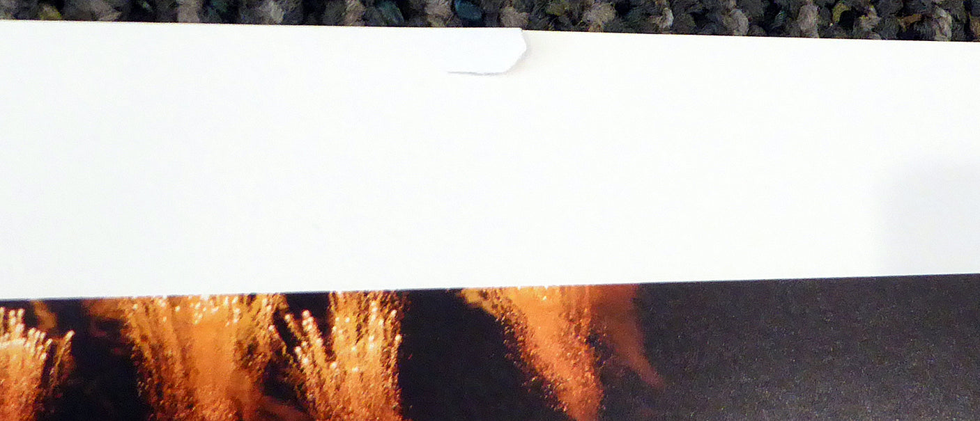 Deshaun Watson Autographed 13x40 Panoramic Photo Clemson Tigers 2016 National Champs (Minor Tear) Beckett BAS #I13261