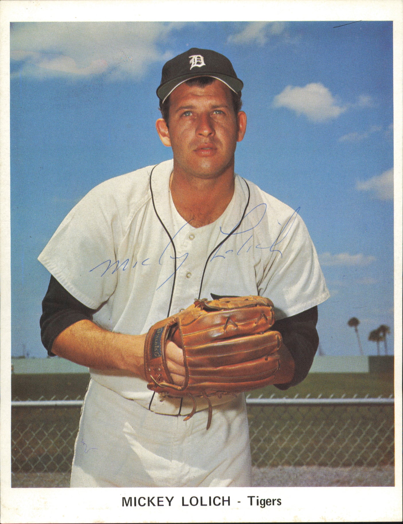 Detroit Tigers Autographed 13 Count Lot of 7x9 Team Issued Photos All Different With Joe Niekro SKU #236184