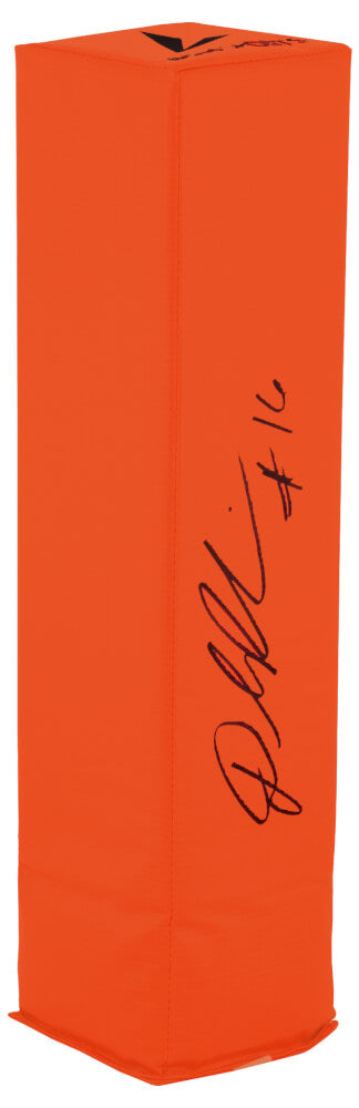 Denard Robinson Signed BSN Orange Football Endzone Pylon