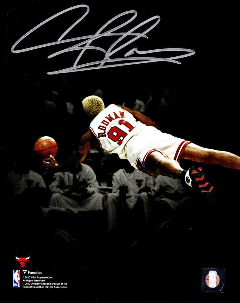 Dennis Rodman Signed Chicago Bulls Diving Spotlight 8x10 Photo