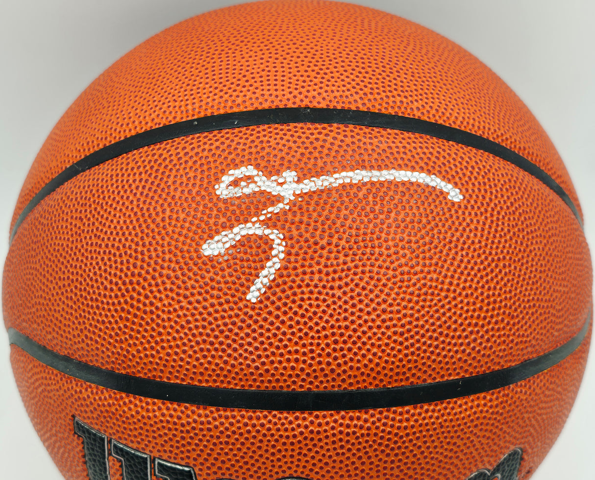 Allen Iverson Autographed Authentic Series Indoor/Outdoor Basketball Philadelphia 76ers Beckett BAS Witness Stock #253645