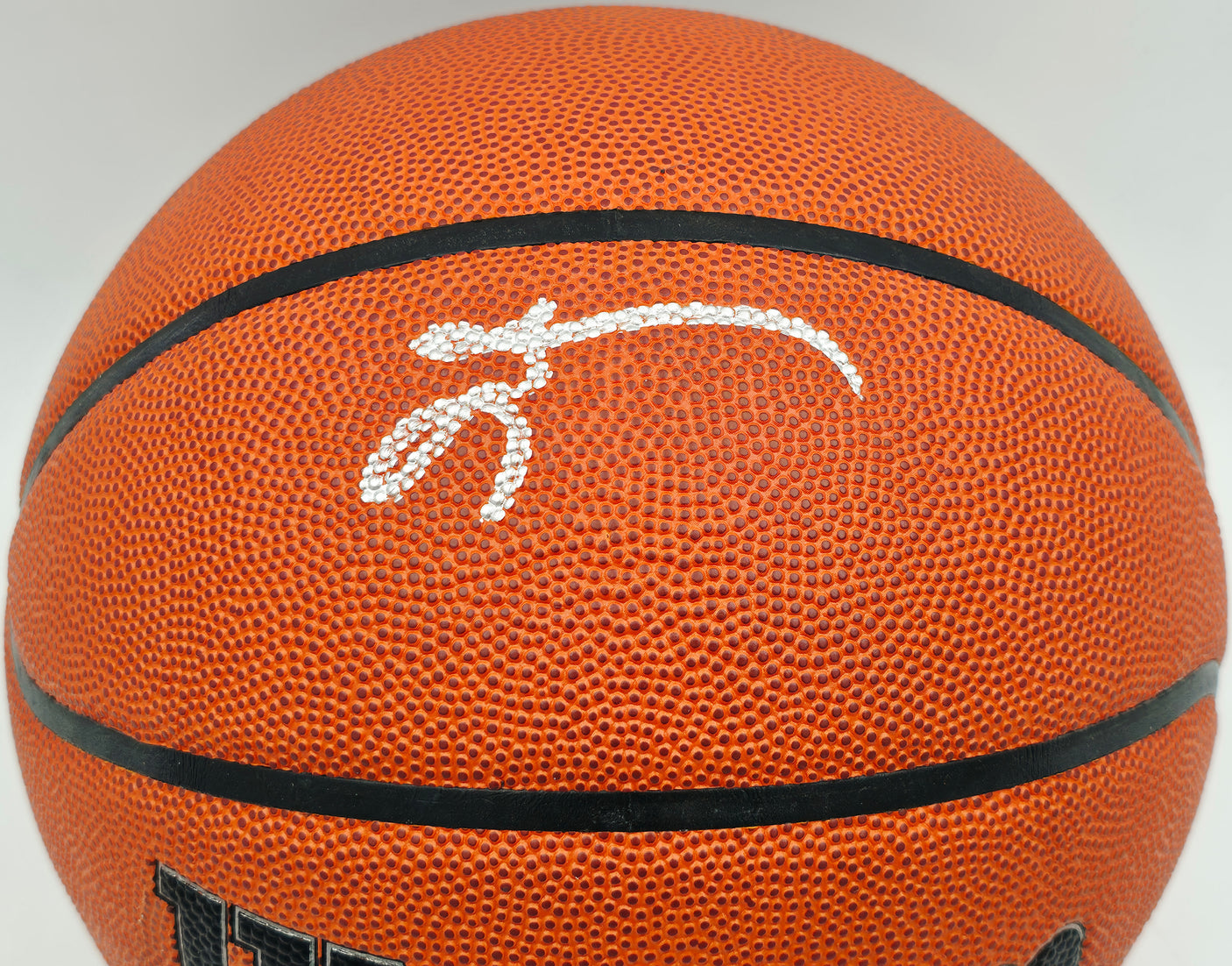 Allen Iverson Autographed Authentic Series Indoor/Outdoor Basketball Philadelphia 76ers Beckett BAS Witness Stock #253646