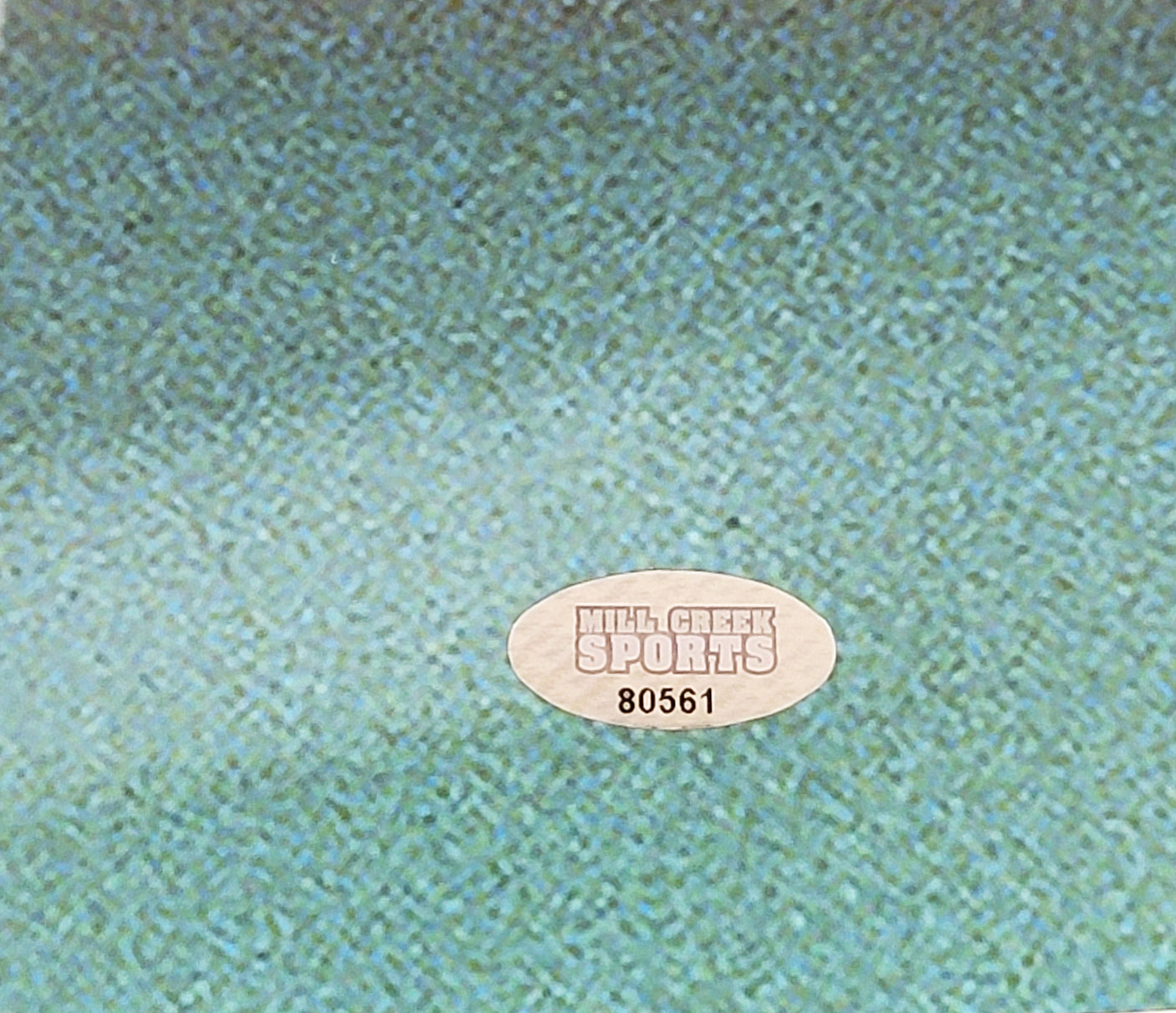 Steve Largent Autographed Framed 16x20 Photo Seattle Seahawks "HOF 95" MCS Holo Stock #254262