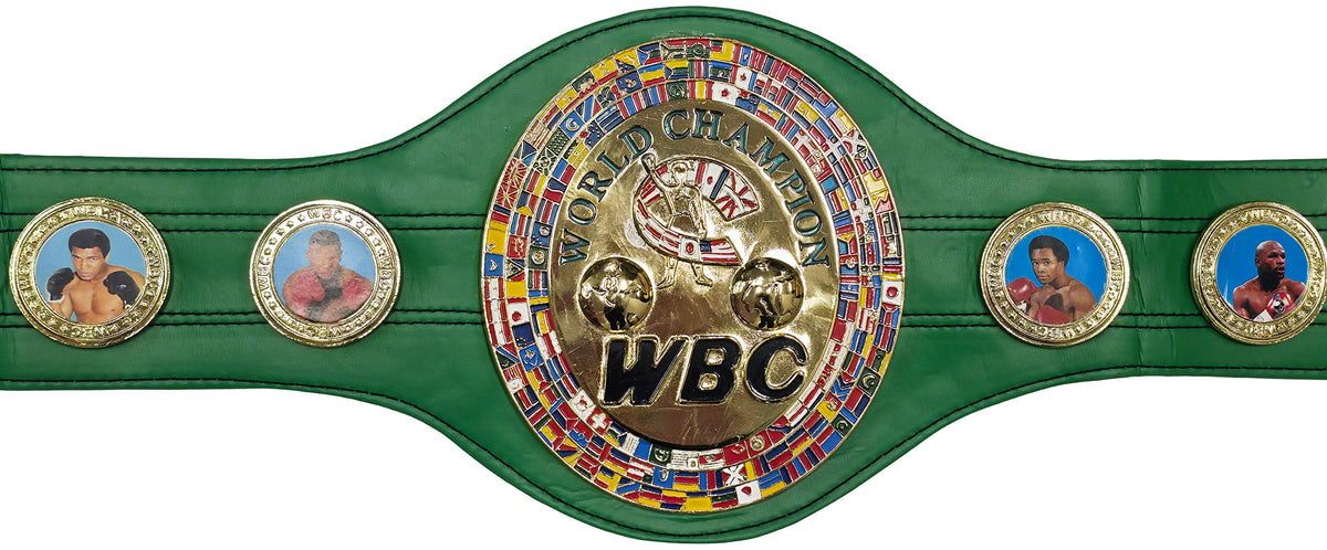 Tyson Fury Autographed Green WBC World Championship Belt JSA Witness Stock #268098