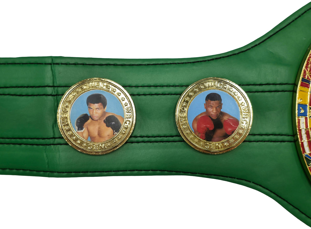 Tyson Fury Autographed Green WBC World Championship Belt JSA Witness Stock #268098