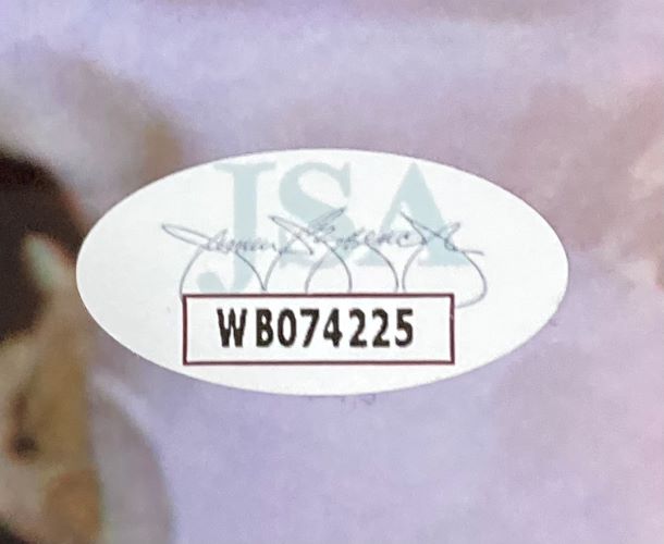 Chevy Chase Beverly D'Angelo Signed Frame 16x20 Christmas Vacation Photo BAS+JSA