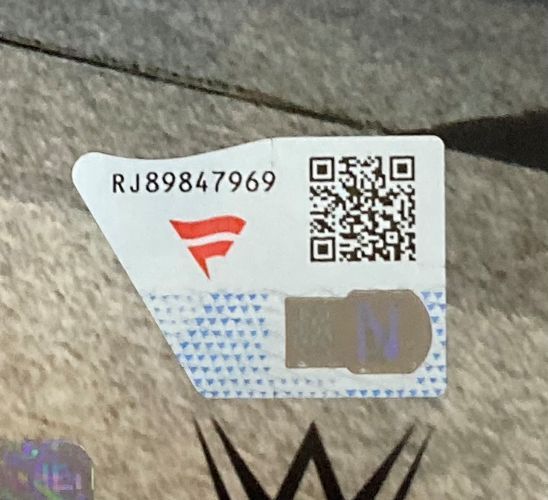 CM Punk Signed Framed 8x10 WWE Return Photo Fanatics