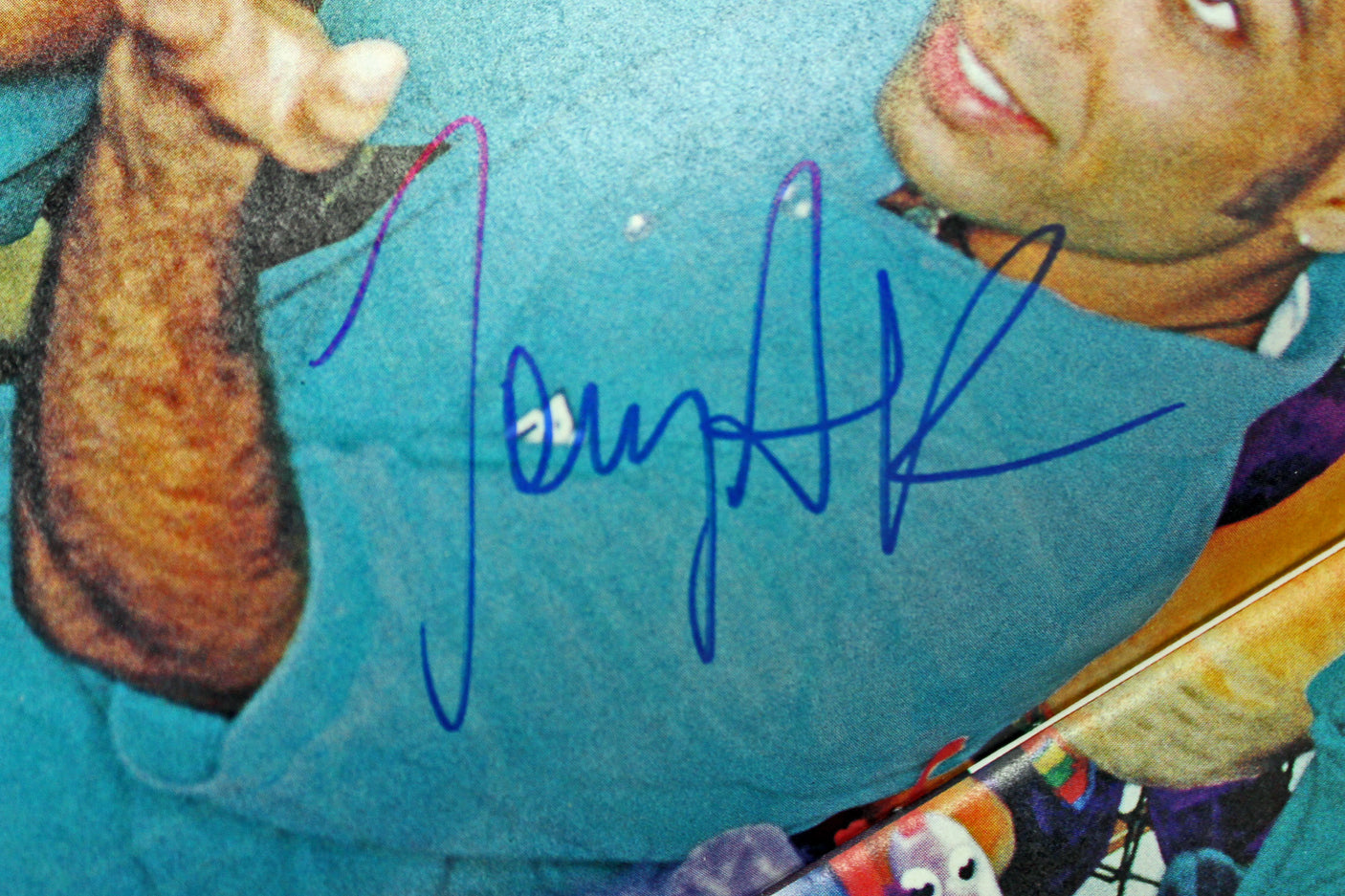 No Doubt (4) Stefani, Kanal, Dumont, Young Signed Spin Magazine PSA/DNA #AB10722