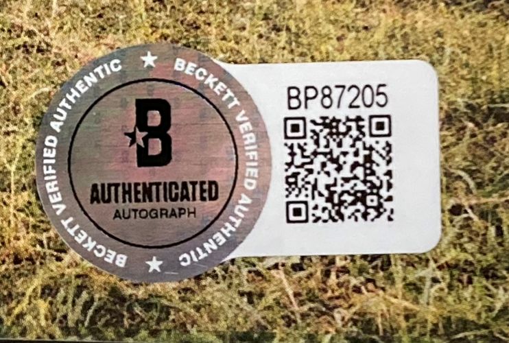 A Dan & Shay Signed Framed Bigger Houses CD Insert by Sports Integrity includes a Beckett Authentication sticker (large B, star, Authenticated Autograph, QR code, BP87205) on a grassy background.