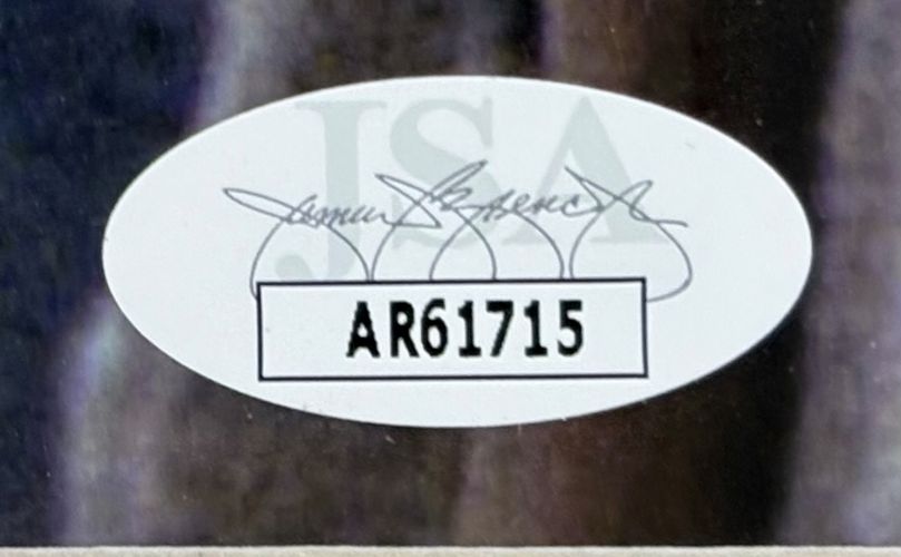 Sports Integrity Elijah Wood Signed Framed 11x14 Lord Of The Rings Photo with Samwise, featuring a JSA hologram for authenticity.