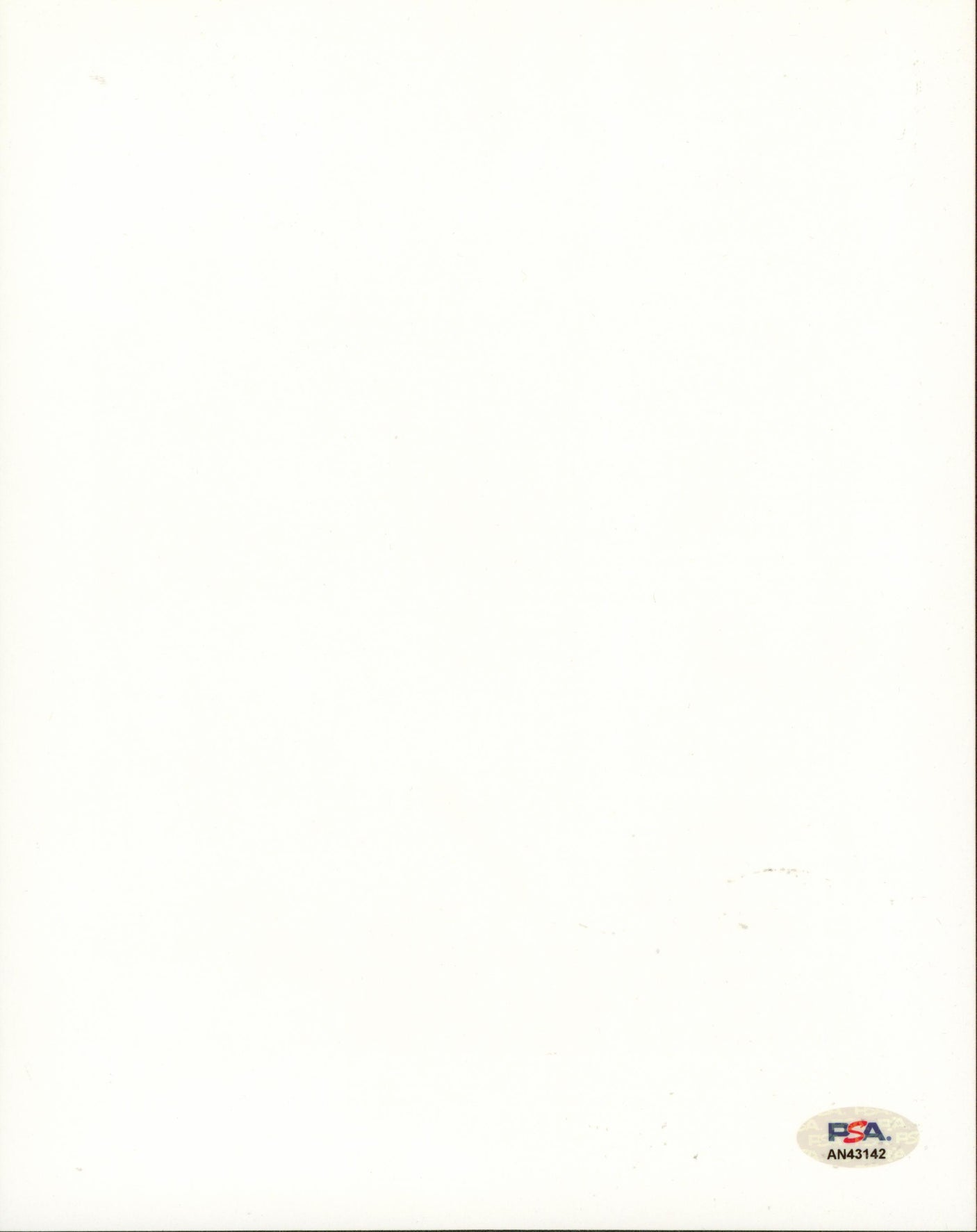 Robert Downey Jr. Air America Authentic Signed 8x10 Photo PSA/DNA #AN43142