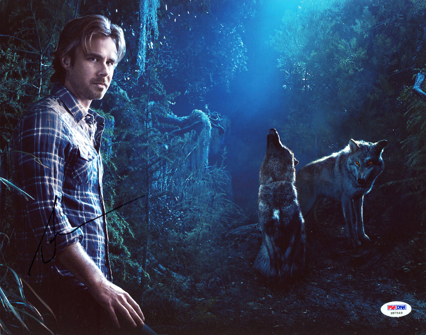 Sam Trammell True Blood Authentic Signed 11x14 Vertical Photo PSA/DNA #S87549