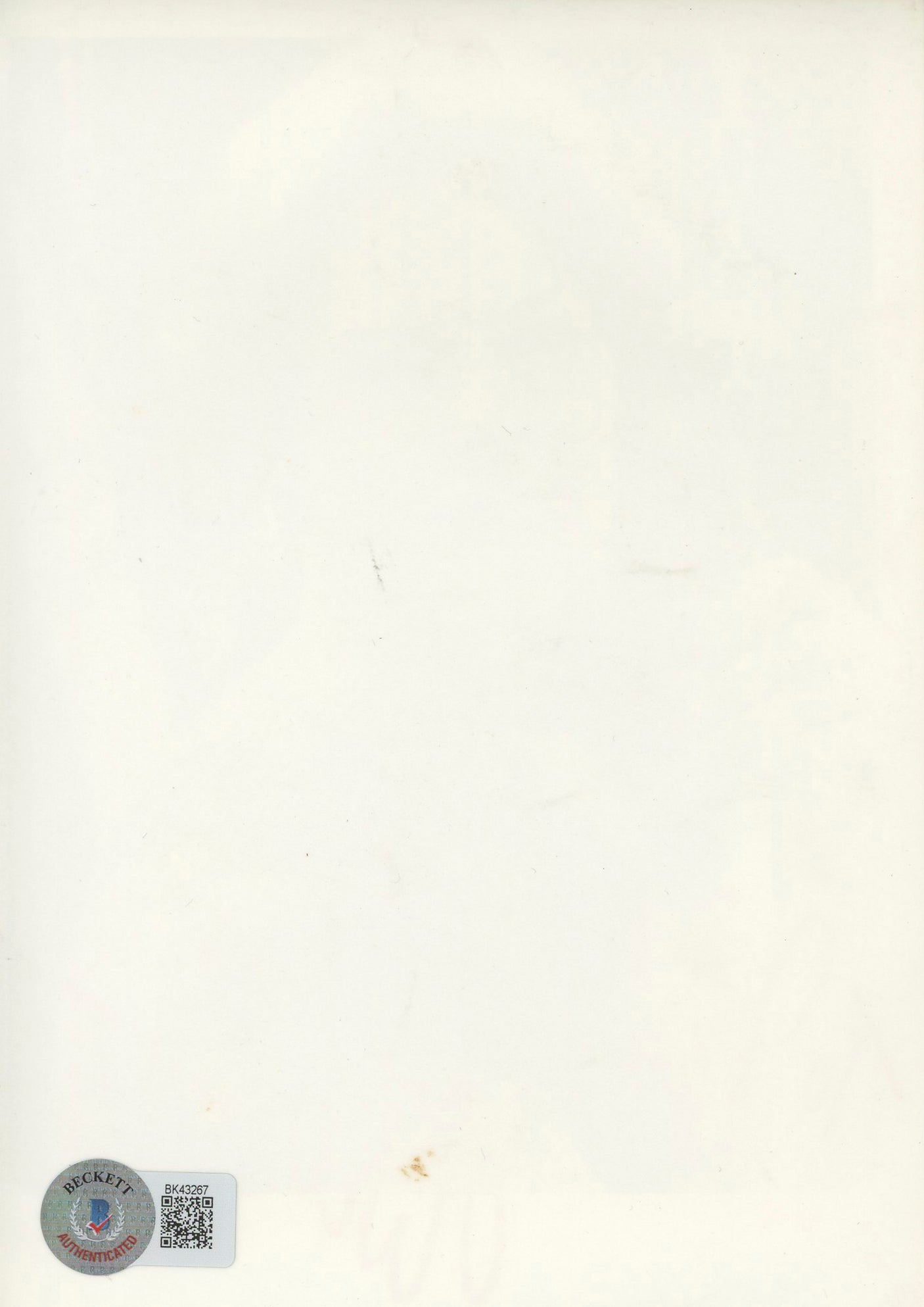 JoBeth Williams Poltergeist "To Jim, Best!" Signed 5x7 Photo BAS #BK43267