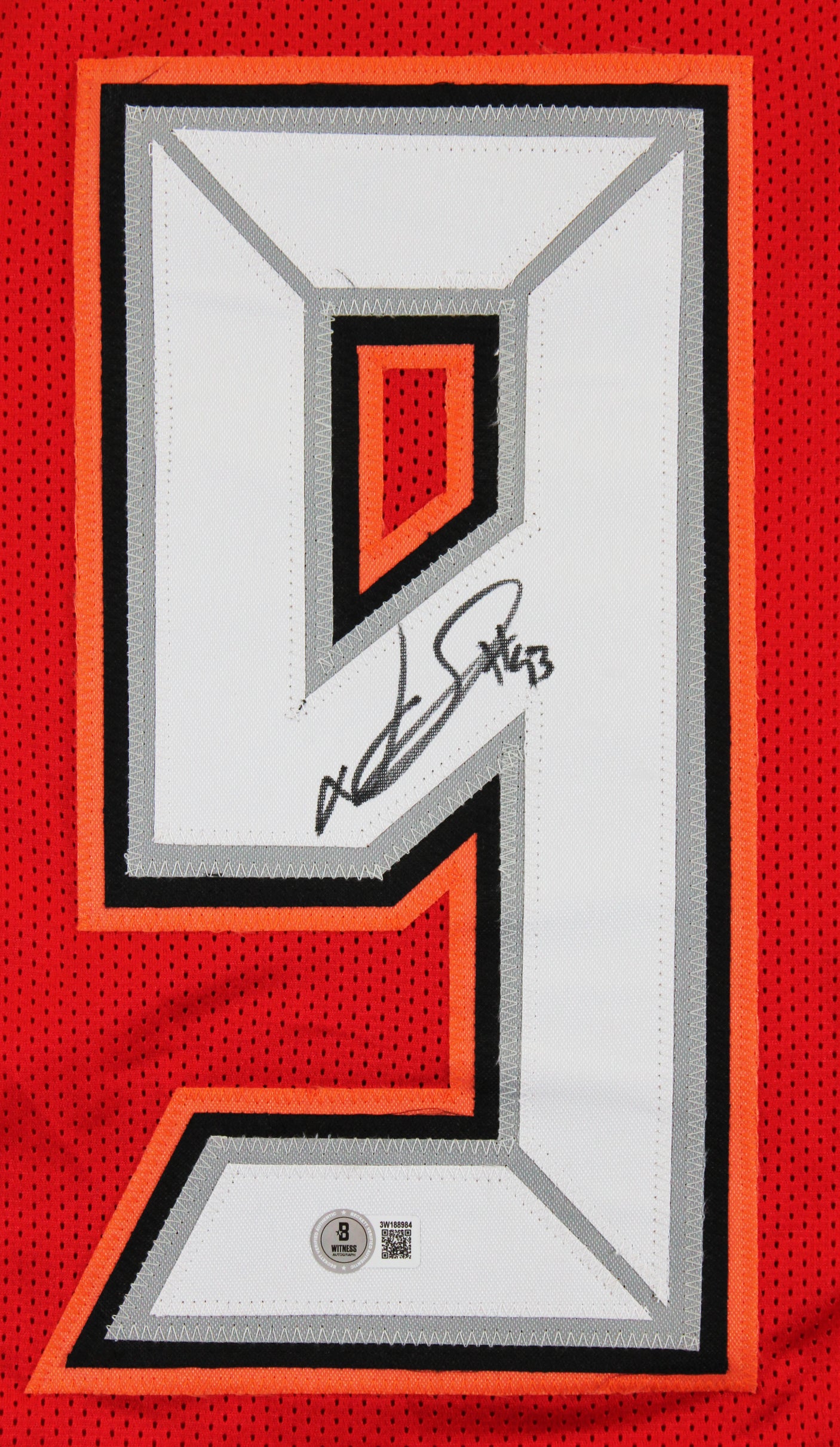 Ndamukong Suh Authentic Signed Red Pro Style Jersey Autographed BAS Witnessed