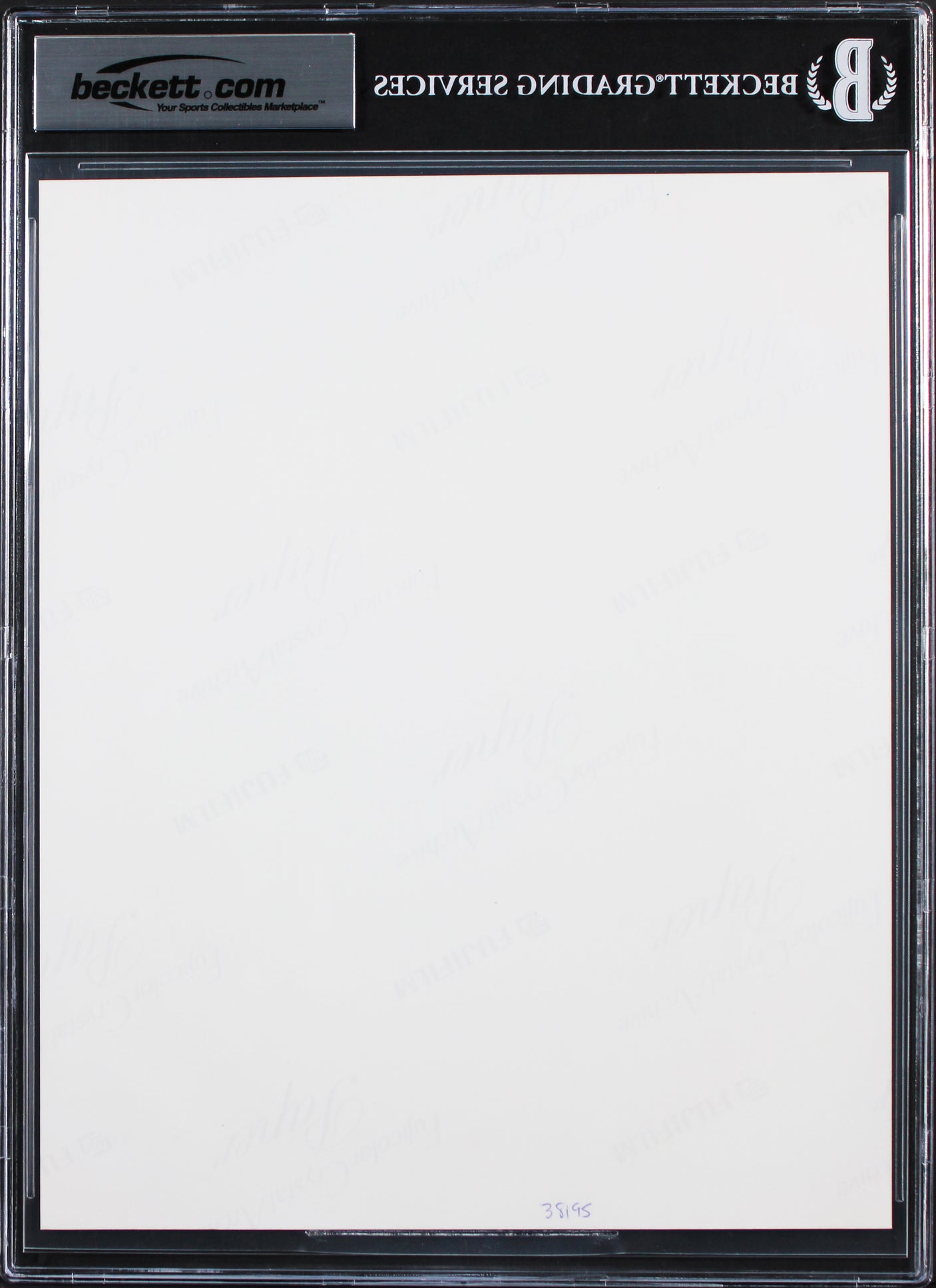 Scarlett Johansson Black Widow Authentic Signed 8x10 Photo Auto 10! BAS Slabbed