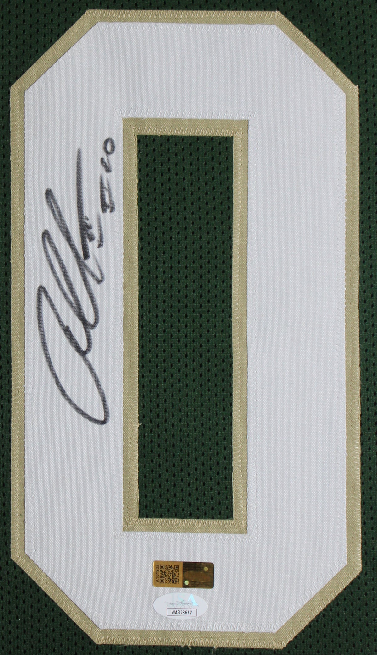 Baylor Robert Griffin III Signed Green Pro Style Framed Jersey JSA #WA328677