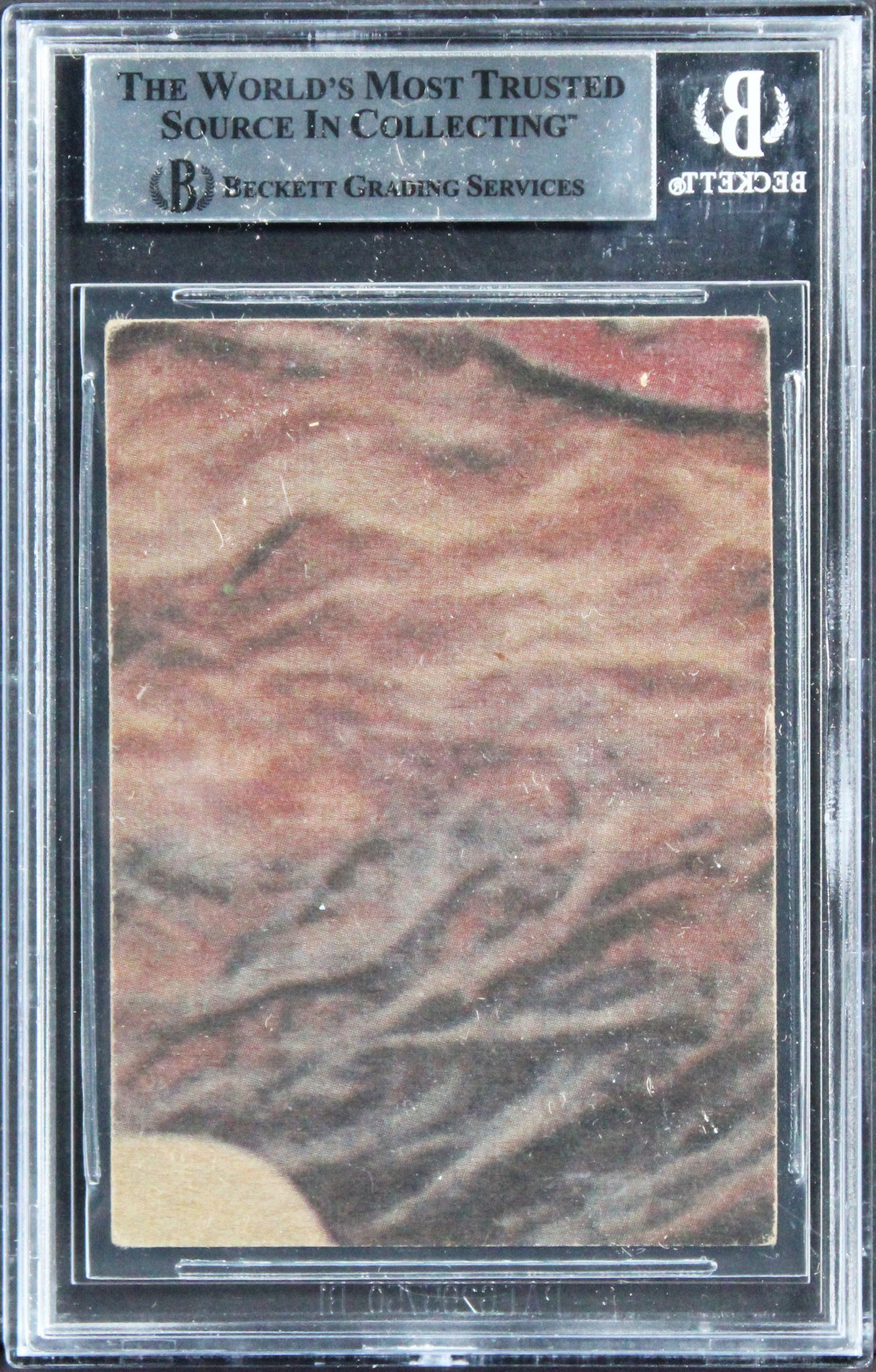 David Prowse & Terry McGovern Authentic Signed 1977 Star Wars #75 Card BAS Slab