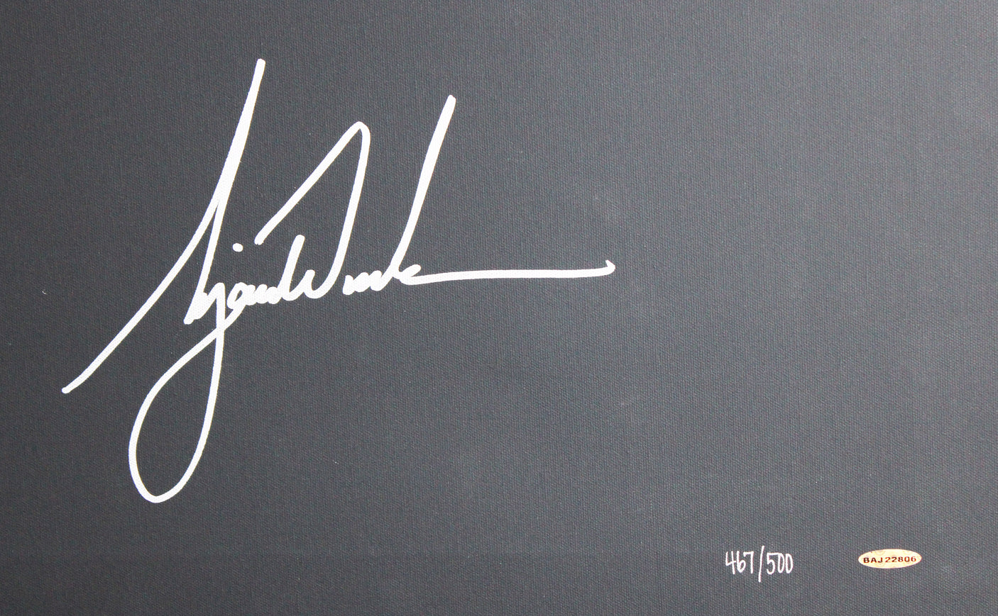 Tiger Woods Signed & Framed 32x40 "Sunset" Canvas LE #467/500 UDA #BAJ22806