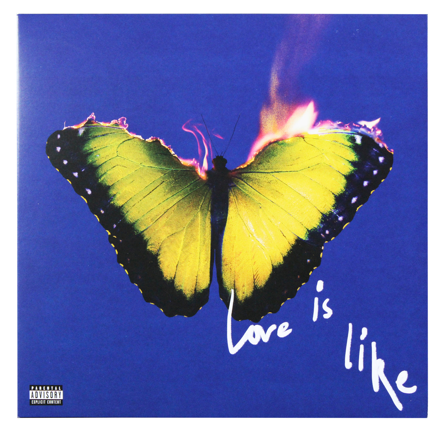 Maroon 5 (6) Levine, Farrar +4 Signed Love Is Like Insert w/ Album & Vinyl BAS