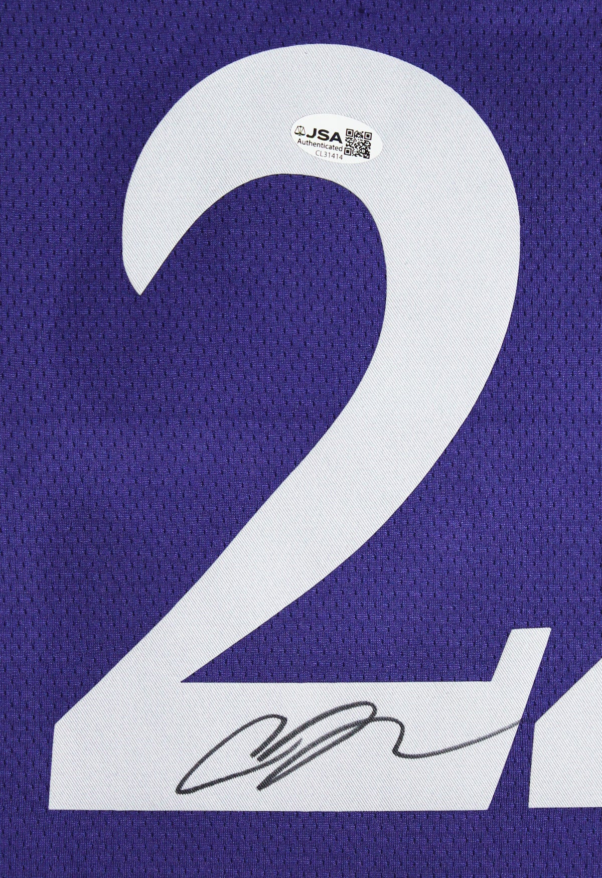 Sparks Cameron Brink Authentic Signed Purple Nike Framed Jersey JSA #CL31414