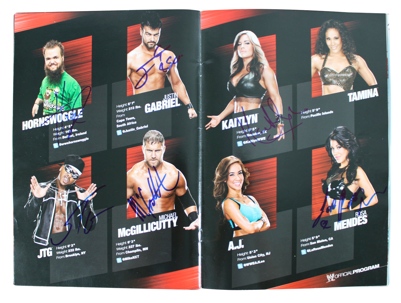 WWE Superstars (54) Rhodes, Kane, Sheamus, Mysterio Signed Official Program BAS