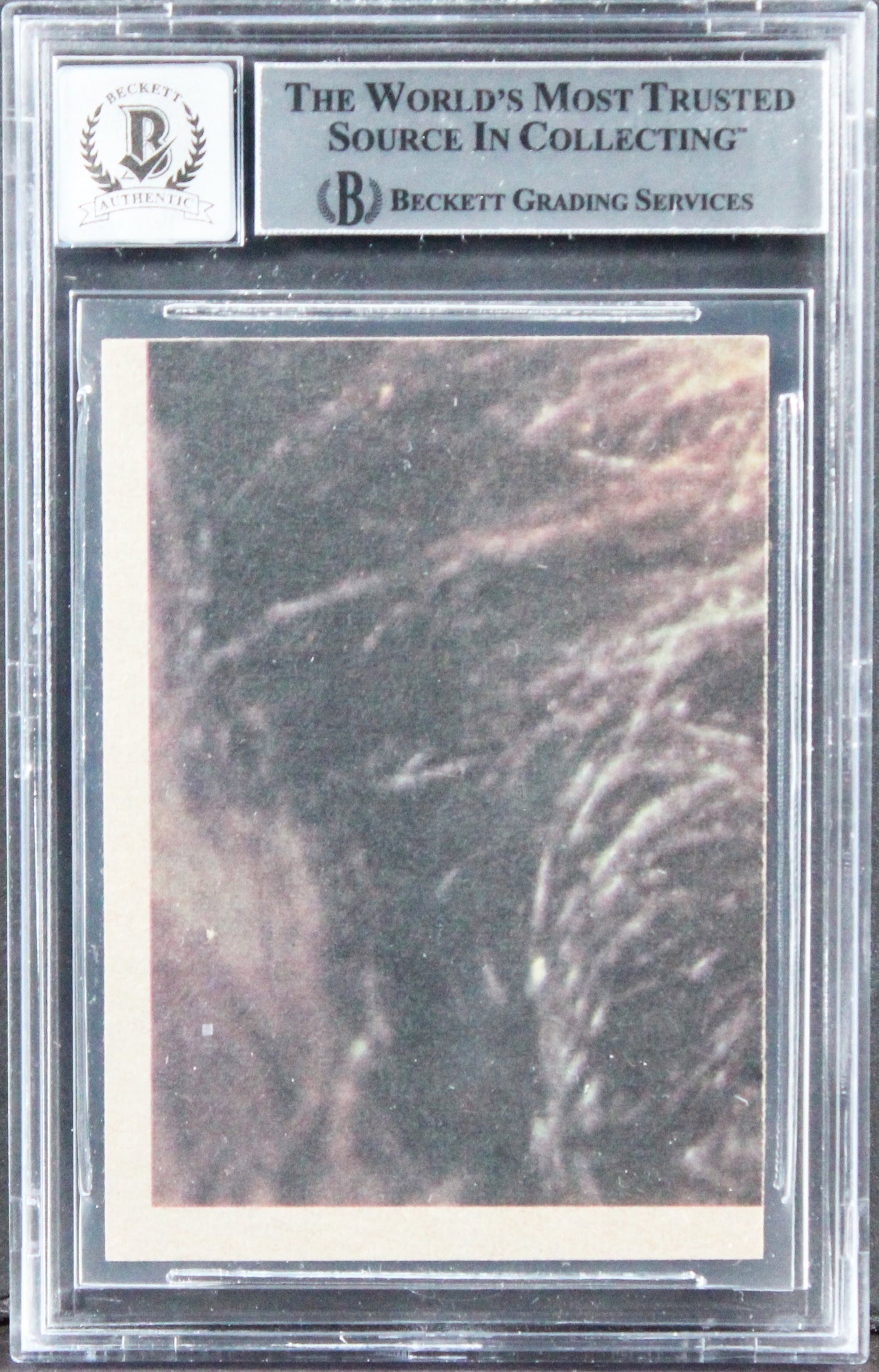 Paul Hirsch & Richard Chew Signed 1977 Star Wars #109 Card Auto 10! BAS Slabbed