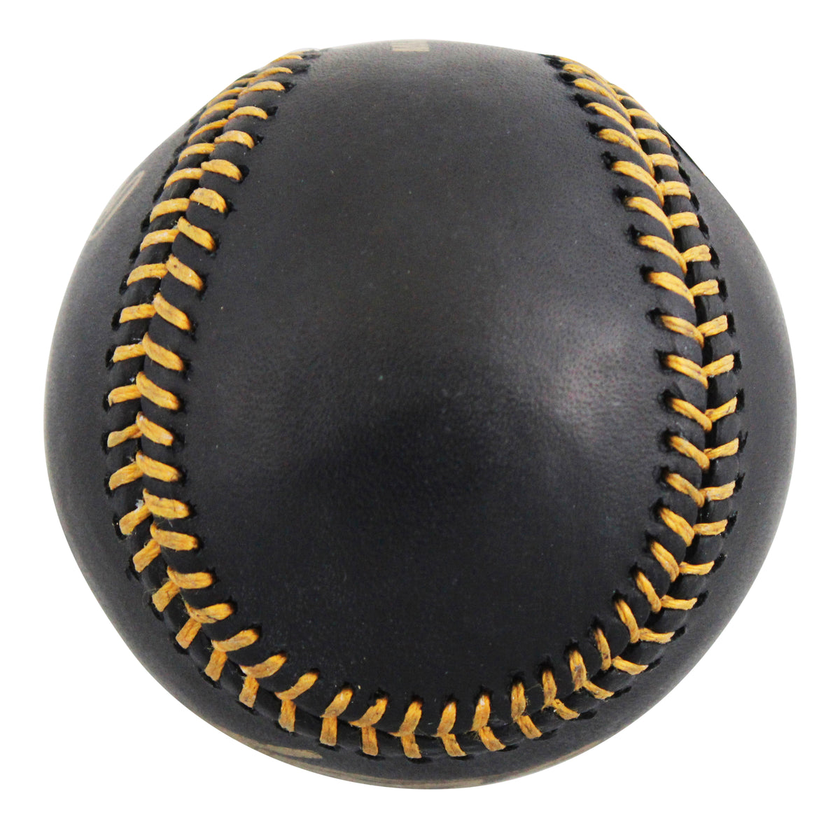 Blue Jays Vladimir Guerrero Jr. Signed Black OML Baseball JSA Witness #WA222455