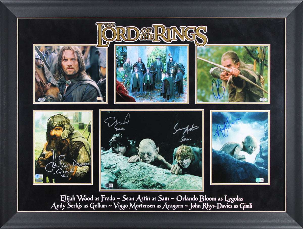 LOTR (6) Wood, Astin, Mortensen, Serkis, Davies, Bloom Signed Framed Display BAS