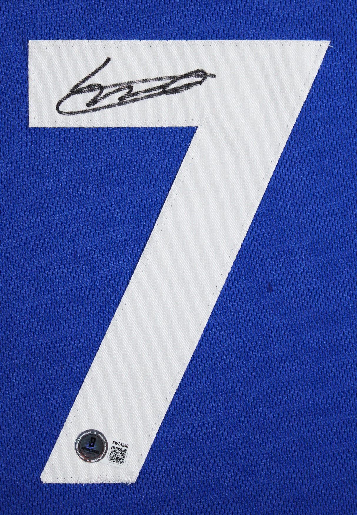 Vladimir Guerrero Jr. Authentic Signed Blue Pro Style Framed Jersey BAS 2