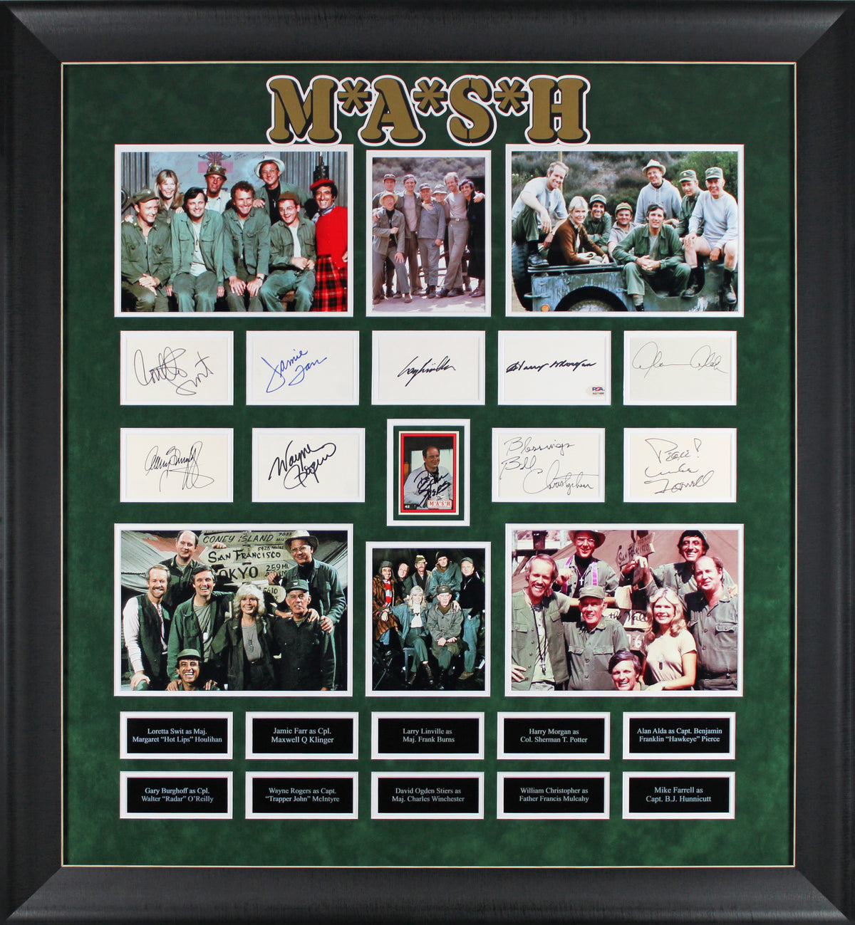 M*A*S*H (10) Alda, Farrell, Swit, Burghoff, Rogers Signed Framed Display BAS LOA