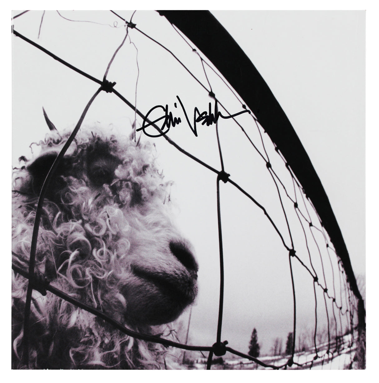 Eddie Vedder Pearl Jam Authentic Signed Vs. Album Cover Auto 10! BAS #AC94818