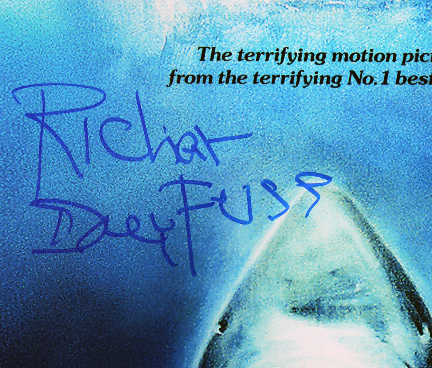 Richard Dreyfuss Jaws Signed 12x18 Mini Movie Poster Photo BAS #BV25089