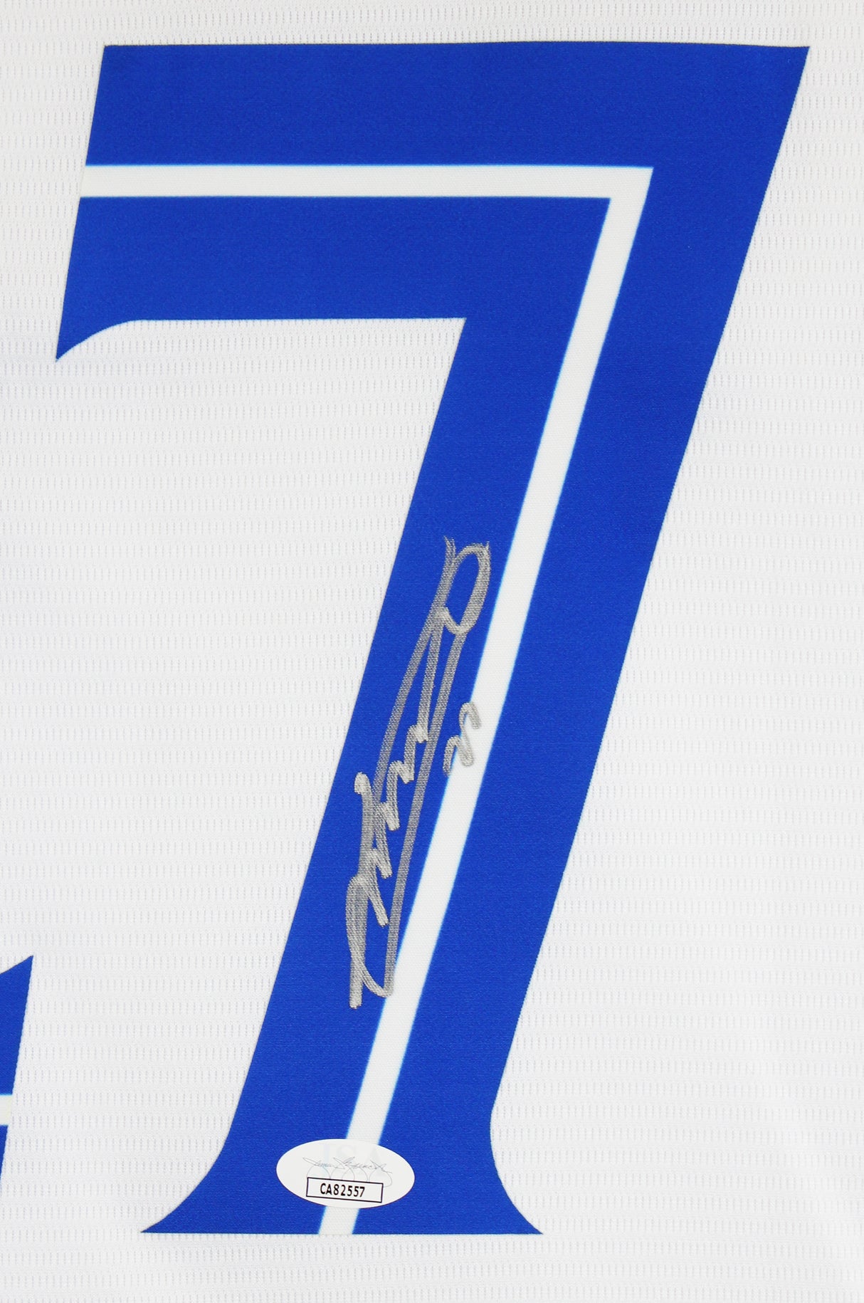 Vladimir Guerrero Jr. Authentic Signed White Pro Style Framed Jersey JSA