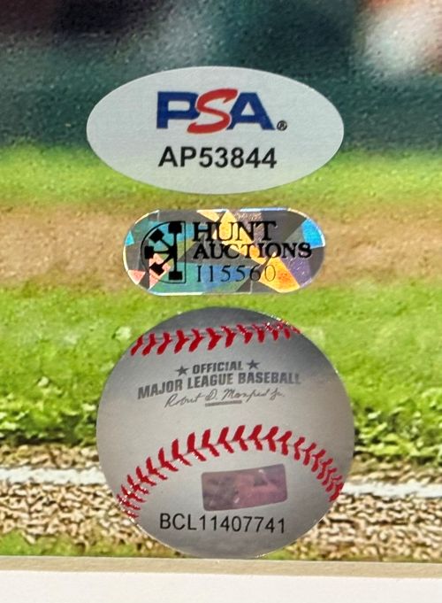 Kyle Schwarber Signed Framed 16x20 Philles Blue Jersey Photo PSA/DNA